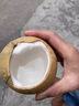 裕農叔【京東直送】牛奶椰皇泰國進(jìn)口椰子新鮮奶椰子肉蛋孕婦水果補羊水 4顆 嚴選大果（單果350g+） 曬單實(shí)拍圖