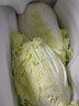 千朵云山東新鮮露天大白菜 農(nóng)家自種東北白菜當(dāng)季黃心鮮嫩華菜整箱蔬菜 約5斤 曬單實(shí)拍圖
