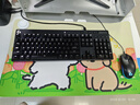 HRHPYM線(xiàn)條小狗加熱鼠標墊冬季暖桌墊辦公加熱墊兒童書(shū)桌墊電腦超大桌面墊恒溫發(fā)熱暖手墊卡通 WR-482【搞怪】800x330mm 智能速熱 曬單實(shí)拍圖