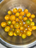 夏日陽(yáng)光小番茄黃色迷戀圣女果即食水果小柿子現摘現發(fā)減肥早餐 4斤 曬單實(shí)拍圖