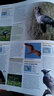 DK鳥(niǎo)類(lèi)世界百科全書(shū) 英文原版 Bird: The Definitive Visual Guide 精裝大開(kāi)插圖書(shū) 鳥(niǎo)類(lèi)攝影愛(ài)好者 鳥(niǎo)類(lèi)生活習性科普書(shū) 鳥(niǎo)類(lèi)生物學(xué) 曬單實(shí)拍圖