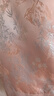熙世界sllsky新中式東方簡奢風盤扣馬甲2025秋新款織錦提花上衣無袖坎肩外套 茶花粉（馬夾） M 曬單實拍圖