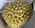 什果樂貓山王榴蓮（D197）馬來西亞進口帶殼整果液氮冷凍水果禮盒 優(yōu)選果3.0-3.5斤（包3-4房） 曬單實拍圖