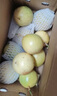 南步海南欽蜜9號(hào)百香果 蜂蜜黃金百香果原漿醬西番蓮非廣西新鮮水果 3斤 中果【單果60-70g】 曬單實(shí)拍圖