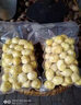 纊策板栗剝殼機(jī)去皮機(jī)去殼機(jī)去皮器剝?nèi)蕶C(jī)商用扒皮機(jī)板栗脫殼機(jī)馬蹄荸薺剝皮削皮機(jī)家用 不銹鋼小型220V【插電款】 曬單實(shí)拍圖