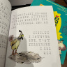 常新港动物励志小说-土鸡的冒险（套装2册彩色注音） 实拍图