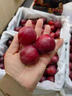 千朵云智利櫻桃李 新鮮當季智利進(jìn)口櫻桃李子孕婦水果爆甜脆口李子 1斤 曬單實(shí)拍圖