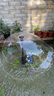 格池（GRECH）噴泉水泵魚池過濾器水循環(huán)凈化系統(tǒng)過濾泵潛水泵 CUF5800 適用6噸左右水 曬單實(shí)拍圖