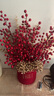 花點(diǎn)馨意年宵花發(fā)財果福桶新年裝飾擺件紅果冬青發(fā)財果元旦新年禮物4861 曬單實(shí)拍圖