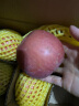 沙窝曙光陕西洛川红富士苹果水果新鲜脆甜冰糖心时令应季丑苹果水果礼盒 整箱5斤70-80mm（净重4.5斤） 实拍图