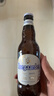 白熊精釀啤酒組合裝多國(guó)進(jìn)口果味世濤修道院小麥白啤酒 全球精釀 330mL 24瓶 精選款 曬單實(shí)拍圖