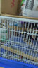 北鼻狗鳥(niǎo)籠鸚鵡鳥(niǎo)籠子大號豪華別墅鳥(niǎo)窩兔籠寵物鳥(niǎo)類(lèi)繁殖配對訓放用品 單層豪華款41*61*38cm 曬單實(shí)拍圖