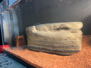 AMTRA德國(guó)安彩魚(yú)缸造景底沙南美熱帶雨林沙黃金沙棕紅沙 剛果紅沙 曬單實(shí)拍圖