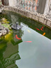 瘋狂水草魚(yú)池過(guò)濾器周轉箱戶(hù)外置大型過(guò)濾室外沼澤錦鯉水池過(guò)濾箱循環(huán)系統 中號3層 濾材+水泵+殺菌燈 曬單實(shí)拍圖