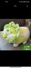 LittleCuCu正版蔬菜精靈白菜狗玩偶公仔小狗狗毛絨玩具睡覺(jué)抱枕男女生日禮物 白菜狗·蹲姿：45cm 正版授權·防偽可查·超軟彈性棉 曬單實(shí)拍圖