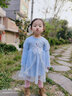 忻悅晴女童長袖艾莎公主裙兒童春秋季冰雪奇緣愛莎連衣裙棉網(wǎng)紗裙子潮 淺藍(lán)色 110cm 曬單實拍圖
