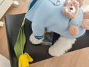 嬉皮狗（hipidog）狗狗玩偶小熊衛(wèi)衣狗狗衣服春秋款牽引繩泰迪比熊雪納瑞小型犬薄款 邦迪藍(lán)小熊 S （建議3-5斤） 曬單實拍圖