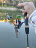 達(dá)億瓦（DAIWA）24新款 REGAL CS 進(jìn)口輕量紡車輪遠(yuǎn)投路亞輪 10軸小型通用釣魚輪 LT 3000S-CXH（淺杯+高高速比） 曬單實(shí)拍圖