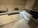 迪恩彩DINCEI臺下嵌入式冰箱 800mm高臺面 底部散熱小型臥式家用冰箱 內嵌式隱藏式零嵌入島臺冰箱 196WQB全嵌【可裝門(mén)板】 曬單實(shí)拍圖