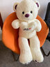 飾鹿熊毛絨玩具娃娃抱抱熊泰迪熊玩偶抱心熊公仔特大號抱枕陪睡生日禮物 紫愛(ài)心(獻給我的小公主) 【體驗價(jià)】全長(cháng)量80厘米【彩袋+ 曬單實(shí)拍圖