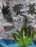 大連裙帶菜 鮮海帶非干貨海帶嫩苗兒童海菜海白菜海藻菜涼拌 裙帶菜嫩葉500g 曬單實拍圖