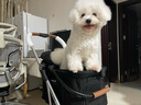 beberoadT3pro寵物推車(chē)提籃可分離遛狗小型犬貓咪外出神器寵物車(chē)輕便折疊 T3Pro黑色全布款（順豐送貨上門(mén)） 曬單實(shí)拍圖