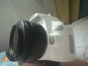 佳能（Canon）小痰盂三代 ef50 1.8stm 標(biāo)準(zhǔn)定焦鏡頭 單反相機(jī)大光圈全畫幅人像鏡頭 EF 50 1.8+定制遮光罩 套餐三【攝影三劍客】 曬單實(shí)拍圖