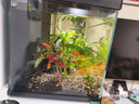 畫(huà)法幾何適用小魚(yú)米缸造景套餐仿真沉木造景石魚(yú)缸裝飾擺件水族箱造景 青風(fēng)龍谷造景 曬單實(shí)拍圖