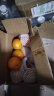 鲜火新鲜沃柑 橘子柑橘新鲜水果应季礼盒新鲜生鲜整箱水果柑桔 精选3斤装(60-65mm） 实拍图