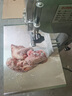 怡盟鋸骨機商用大型臺式立式250型牛骨全自動切牛排凍肉豬蹄機器電動不銹鋼切肉機切骨機鋸肉機 210型鋁烤漆-適用中小骨-5根鋸條 曬單實拍圖
