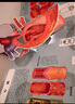 樂樂趣 恐龍立體書兒童3d翻翻趣味科普3-6-12歲以上恐龍?zhí)蘸Ｑ笫澜珂隙鹛皆铝Ⅲw書一年級二年級小學生機關(guān)課外故事書霸王龍漫畫書籍大百科全書繪本 探秘火星立體書 曬單實拍圖