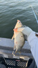 漁之源釣魚炮臺支架魚竿架炮臺魚竿支架釣箱臺釣地插碳素架桿手竿支架 2.7m 【野釣輕硬版】推薦7.2內(nèi)魚竿 曬單實拍圖