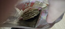陳大灰廣東湛江特產(chǎn) 魚柳干 馬面魚 馬步魚片 精選煎燒烤甜魚片 250g(半斤大概13-15片) 曬單實拍圖