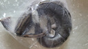 寧波舟山特產(chǎn)整條微咸風(fēng)鰻筒鰻魚(yú)干咸魚(yú)當(dāng)季漁民新曬魚(yú)鲞海鮮干貨 本地風(fēng)鰻（整條4斤上）1條 曬單實(shí)拍圖