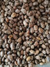 客滿(mǎn)樂(lè )今年新貨麻豇豆1000克農家自種江豆花豇豆麻豆子熬粥煮飯雜糧 曬單實(shí)拍圖