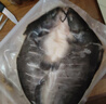 釣魚記斑點(diǎn)叉尾鮰魚1斤-1.3斤/條 二去開背 清江團(tuán) 烤魚紅燒 生鮮 魚類 叉尾鮰魚1斤多*1條(烤魚專用) 曬單實(shí)拍圖