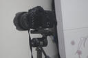 Canon佳能5D4 5D3 5D2 6D2 7D2 5DIV 6D全畫幅單反相機(jī)二手 佳能5D Mark II 機(jī)身/5d2 99新 曬單實(shí)拍圖