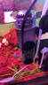歐亞瑟魚缸除油膜器水面漂浮垃圾雜質(zhì)臟污收集處理器面吸 skim600進(jìn)口魚缸除油膜器 曬單實(shí)拍圖