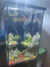 貝意品魚(yú)缸水妖精過(guò)濾器增氧吸便反氣舉小型氧氣泵內置過(guò)濾盒方形水妖精 3810水妖精 曬單實(shí)拍圖