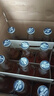 科羅娜啤酒 墨西哥原裝原瓶進口精釀啤酒 Corona 355mL 24瓶 10月23日到期 曬單實拍圖