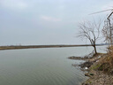 熊爪雙層翻板鉤新型鰱鳙釣組方塊餌料專(zhuān)用海竿釣花白鰱魚(yú)爆炸鉤防纏繞 雙層方塊鉤-16號【一盒2付】 曬單實(shí)拍圖
