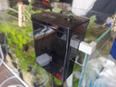 百因美（BIOZYM）魚缸過濾器循環(huán)水泵小型壁掛水族箱外置過濾水草缸外掛設(shè)備除油膜 1.5W【適合10-20CM魚缸】 曬單實(shí)拍圖