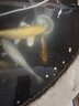 亞峰（yafeng）魚(yú)缸水泵循環(huán)泵抽水泵底吸泵潛水泵底過(guò)濾小魚(yú)缸過(guò)濾泵 105W 流量可調/防干燒 +水管 曬單實(shí)拍圖