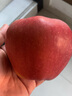格沃斯（GEWOSI）紅星紅香蕉粉面蘋(píng)果帶香味山西特產(chǎn)適合老年人吃水果面的 9斤果 特大果80-90果徑 曬單實(shí)拍圖