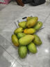 越南玉芒當季新鮮水果9斤現摘應季芒果高糖大青芒大果批發價整箱 精選裝-(9斤) 特大果-(350g+) 曬單實拍圖