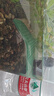 REPTIZOO烏龜曬臺爬臺高水位亞克力吸盤跳水曬臺龜缸深水浮島爬梯 小號曬龜臺 曬單實拍圖
