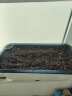 奥美优 种菜盆 长方形种植箱 塑料双层加厚自动吸水花盆种菜箱 阳台室内花卉绿植蔬菜种植盆 大号 LZ7125 实拍图