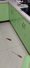 皇昇櫥柜貼膜柜門(mén)面板改色貼膜烤漆防水家具柜子翻新貼廚房防油污貼紙 【亮面烤漆】綠色水晶-不透底 5米長(cháng)*60厘米寬+貼膜工具 曬單實(shí)拍圖