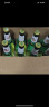 青岛啤酒（TsingTao）经典啤酒 11度 316ml*24瓶 整箱装 五一出游 实拍图