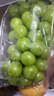 拾貝殼陽(yáng)光玫瑰葡萄當季新鮮現摘無(wú)籽香印青 提現發(fā)水果 單果8-10g 3斤 禮盒裝 曬單實(shí)拍圖